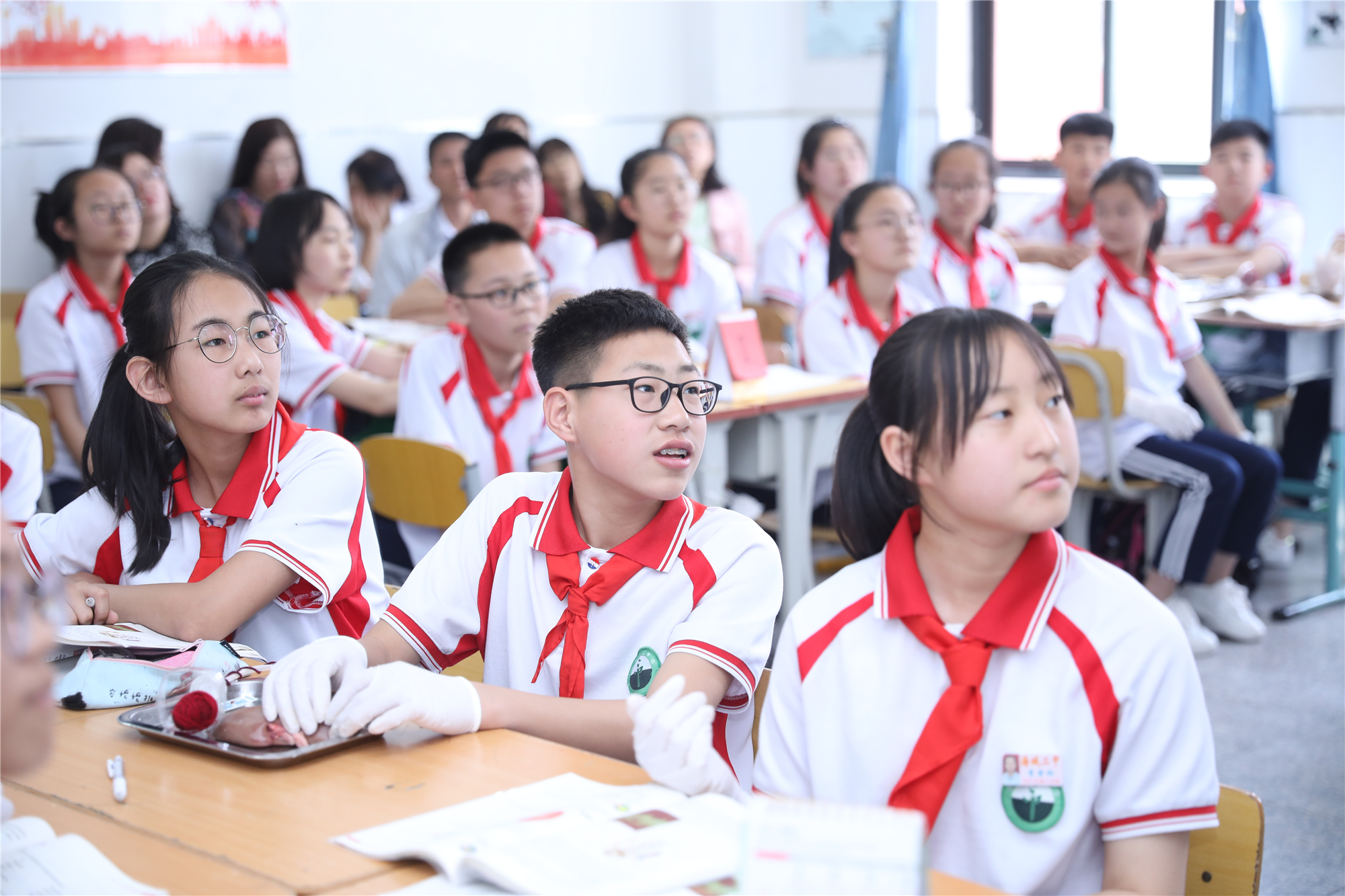 本届博览会之所以选在宁夏，主要是宁夏是教育部确定的全国人工智能助推教师队伍建设省区唯一试点。银川市享有塞上江南之美誉，高原湖城，碧水蓝天，清凉自在。北京中教市培教育研究院，期待全国各地名师工作室，不忘初心，守望教育，共建共研共融共享，再现再创再聚再叙，得三日余暇通观全貌，步五丈幽径博览盛况。