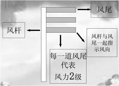 5d3155c585236.jpg