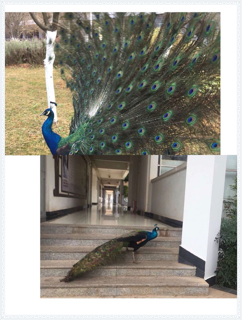 5e81934d7bcfd.png