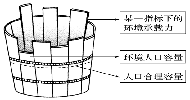 61b55945b4ce8.png