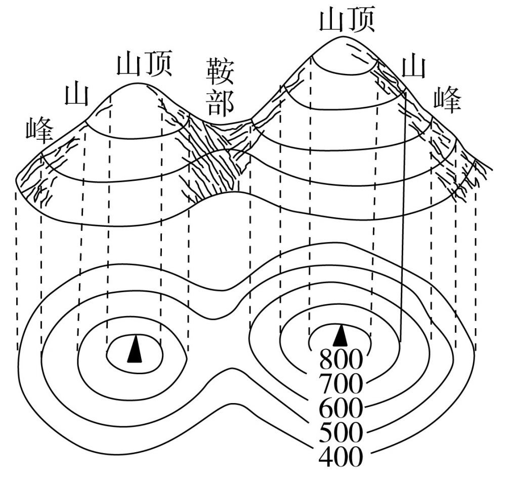 6233d86a7243d.jpg