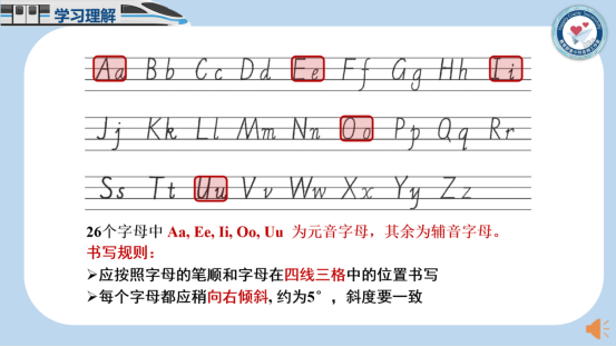 66c5e6fec330c.png