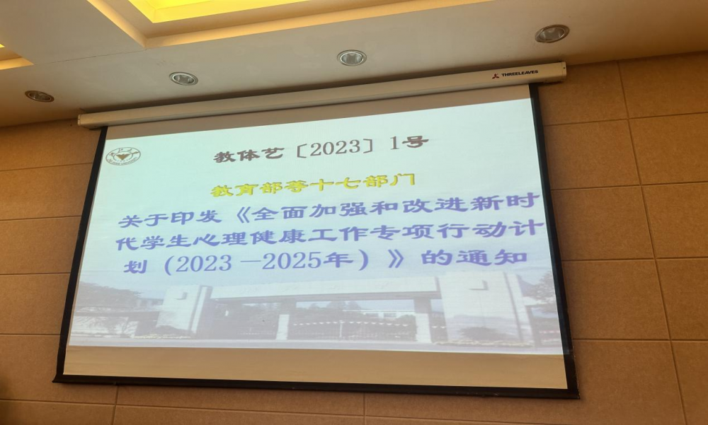 67ea620f21911.png