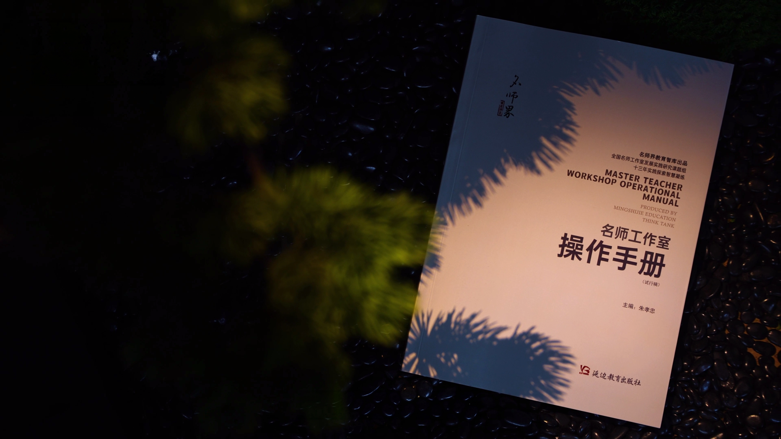6a8800b15136b.png