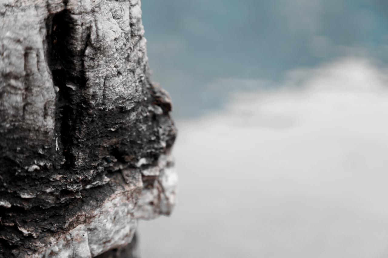 6abca8d1601c4.png